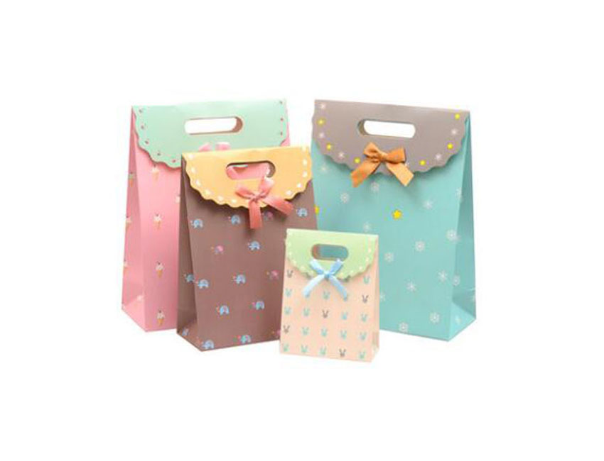 Boutique Shopping Gift Bags