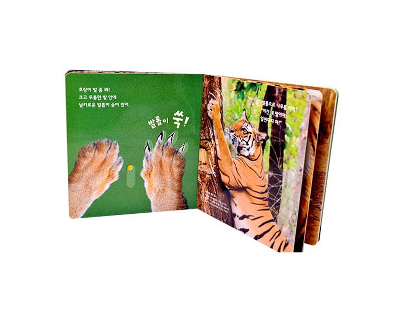 Tiger Board Book Printing